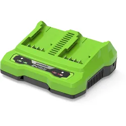 Greenworks POWERALL 24V Dual-Slot-Ladegerät 2A
