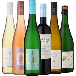 6er-Probierpaket »Alkoholfreie Vielfalt«