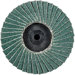 Pferd, Schleifmittel, CDR PFF 50 Z 80 (80)