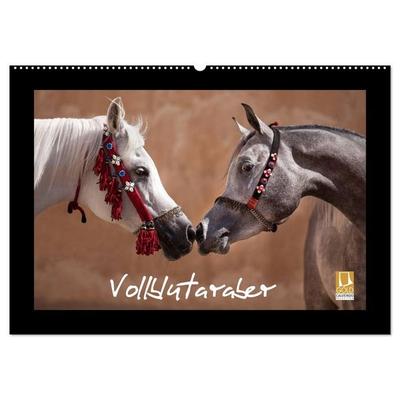 Vollblutaraber (Wandkalender 2026 DIN A2 quer), CALVENDO Monatskalender