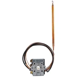 Jumo Temperaturregler 60003218