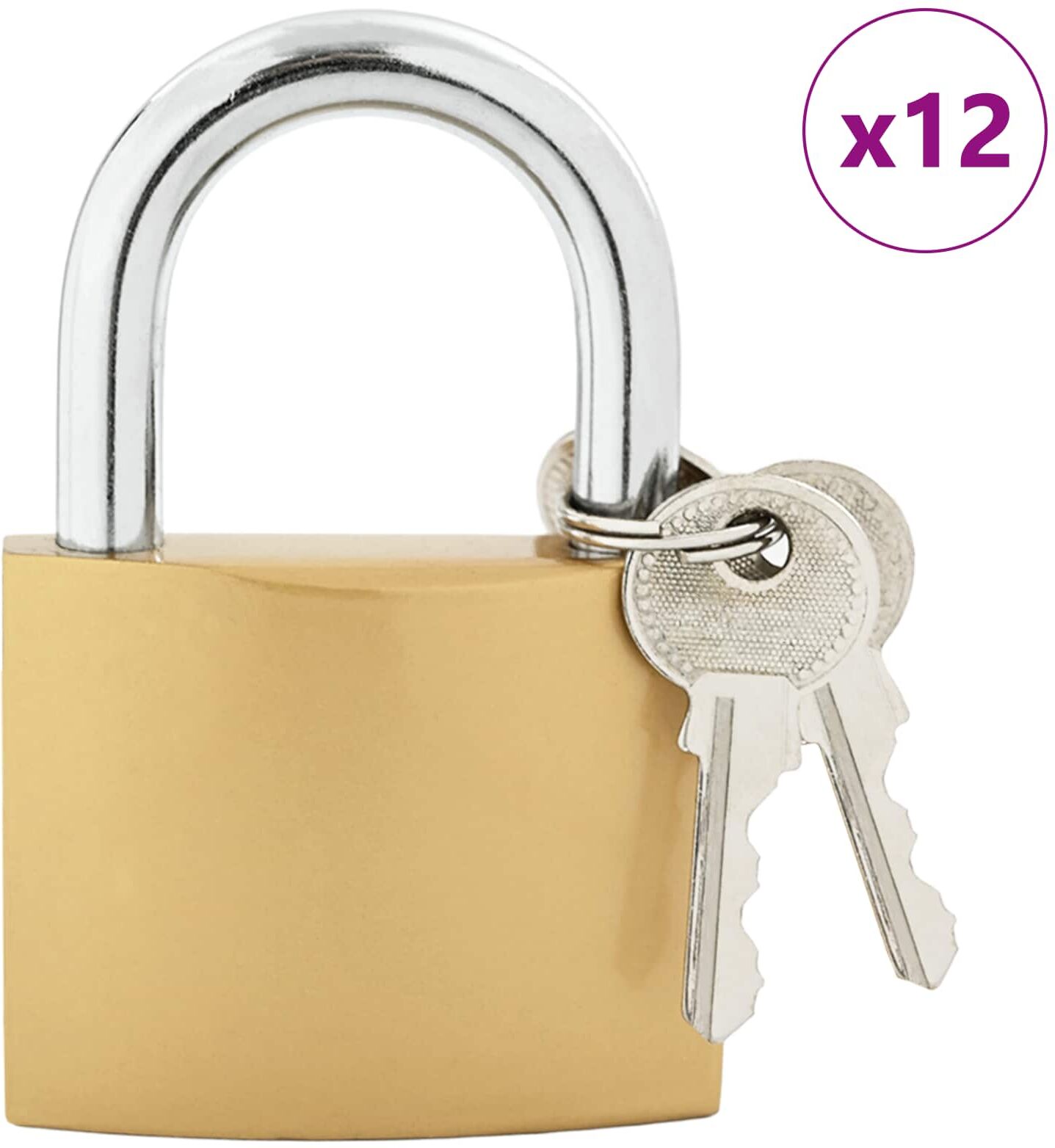 vidaXL U Lock avec Clés 12 pièces Laiton Fer