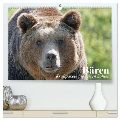 Bären. Kraftpakete auf leisen Sohlen (hochwertiger Premium Wandkalender 2026 DIN A2 quer), Kunstdruck in Hochglanz