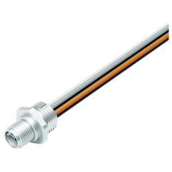 binder 09 0641 37 05 Flanschstecker Gesamtpolzahl: 5 1 St.