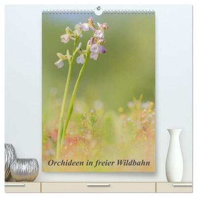 Orchideen in freier Wildbahn (hochwertiger Premium Wandkalender 2026 DIN A2 hoch), Kunstdruck in Hochglanz