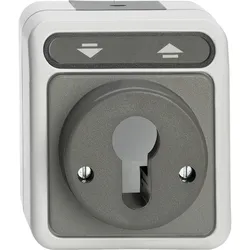 Merten Rollladentaster MEG3718-8029