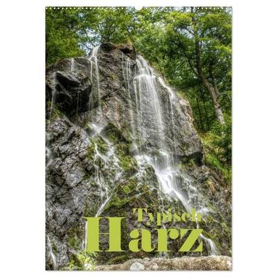 Typisch Harz (Wandkalender 2026 DIN A2 hoch), CALVENDO Monatskalender