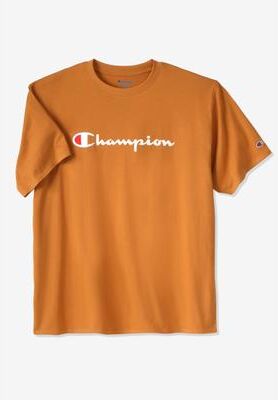 Men's Big & Tall Champion® Script Logo Tee by Champion in Briefly Brown (Size 3XL)