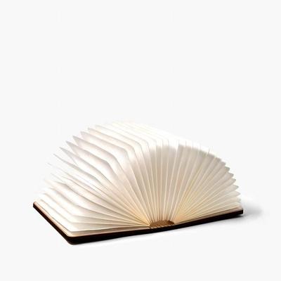 Buchlampe 'Booklover', klein