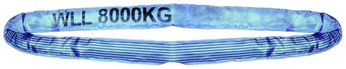Target Ladungssicherung 90433 Rundschlinge Arbeitslast (WLL)=8 t Blau