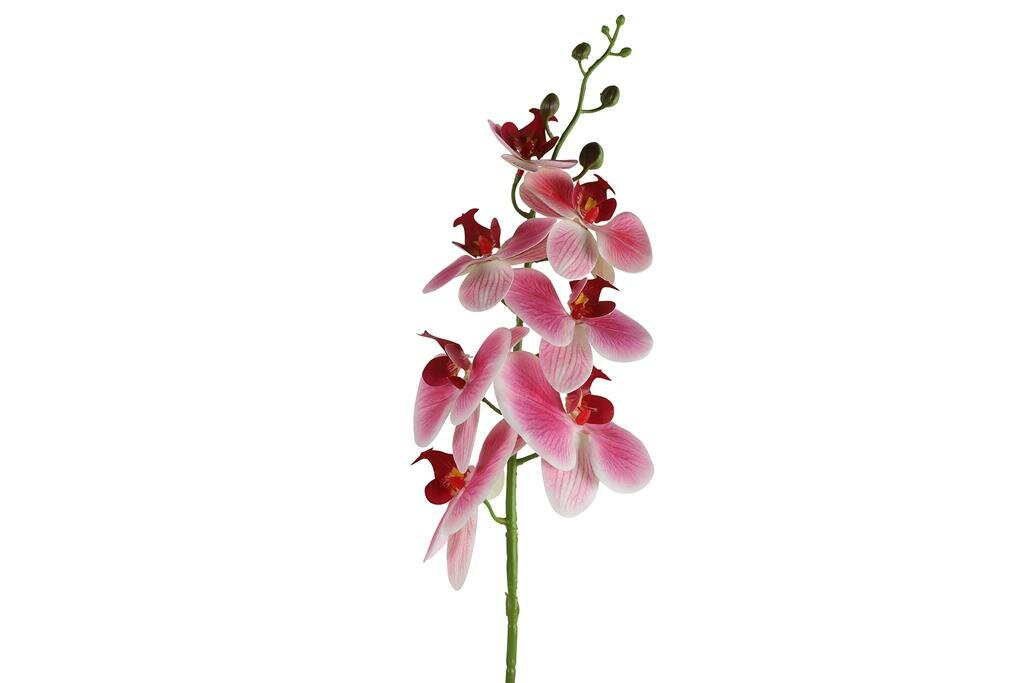 Countryfield zijden Phalaenopsis bloem roze, 83 cm