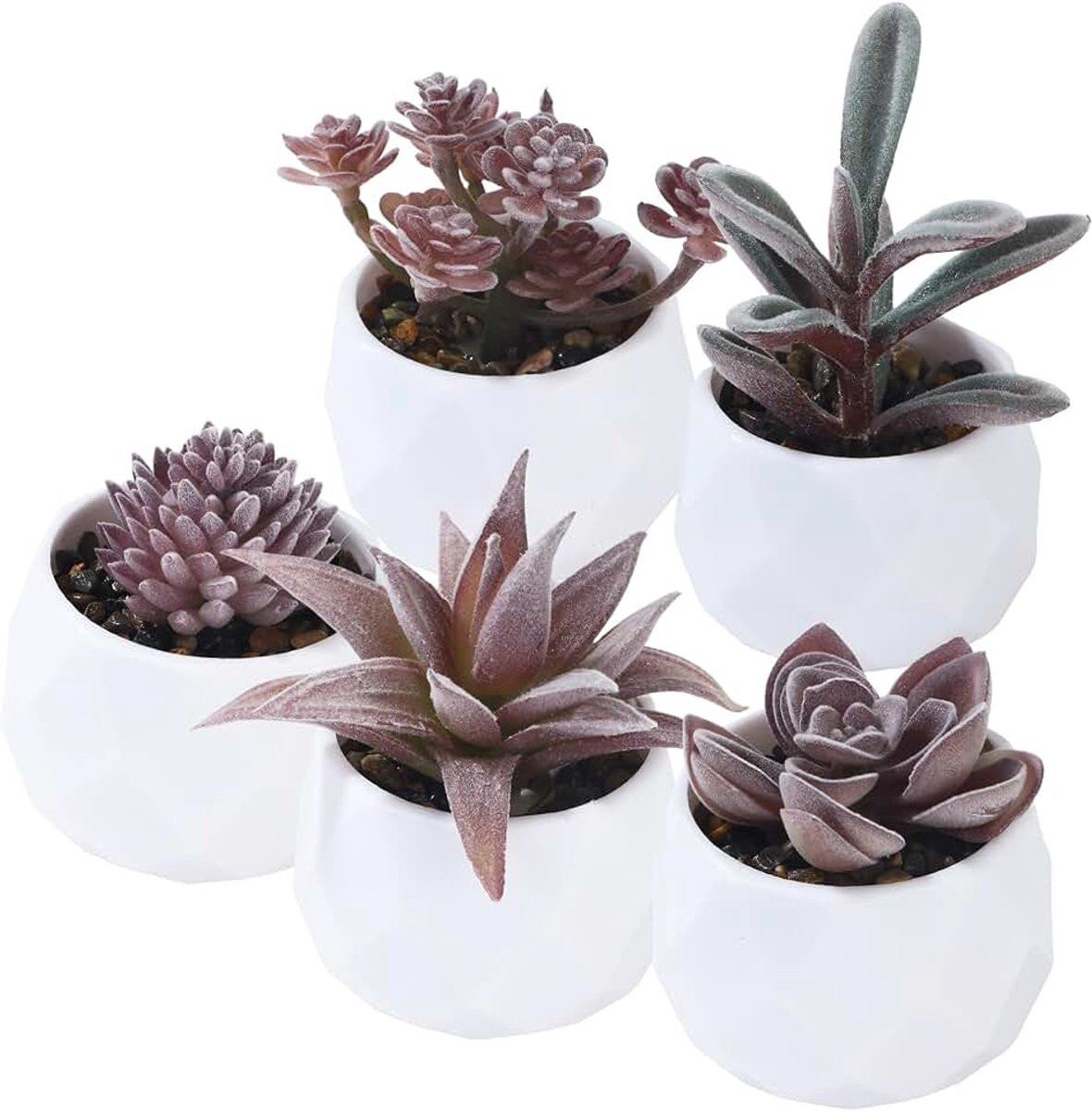 Set van 5 mini vetplanten in roze potten voor decoratie