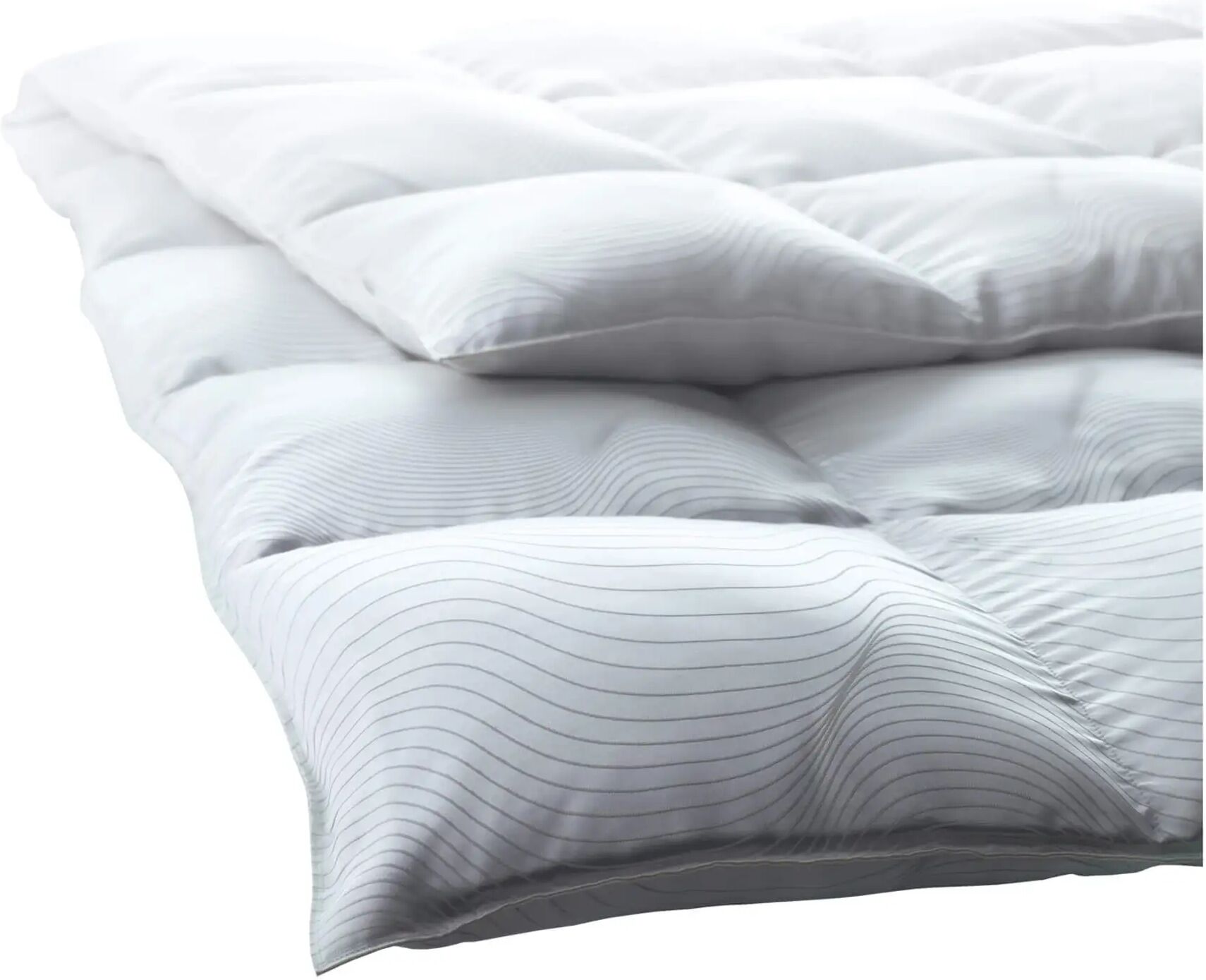 Dauny Eider Caro Alpha  Weiss