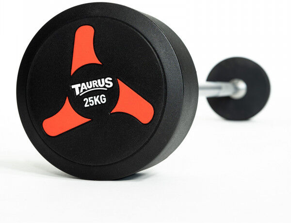 Taurus Fixed Barbell V2 12.5 kg