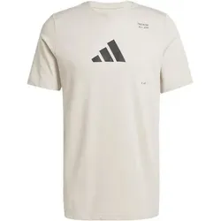 ADIDAS Herren Shirt AEROREADY All-Gym Category Graphic, Größe M in Grau Grau