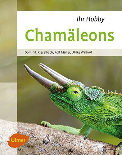 Dominik Kieselbach - Chamäleons - Preis vom 11.10.2026 15:43:13 h