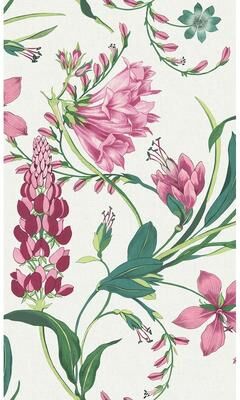 Graham & Brown Botanists Scroll Mauve Wallpaper