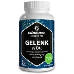 GELENK VITAL Kapseln 75,15 g