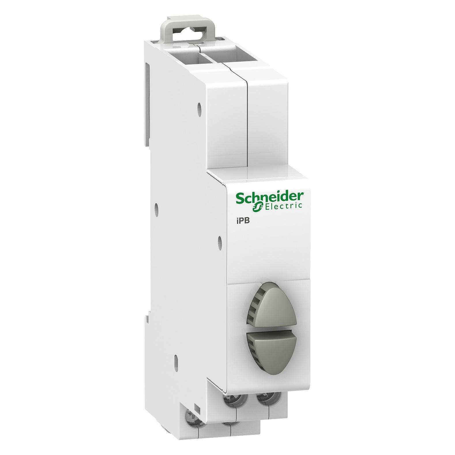 Schneider Electric Taster Doppelt gr 2S (A9E18035)