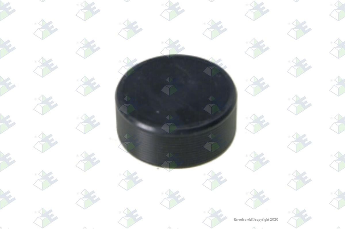 Euroricambi 60532179 Cap