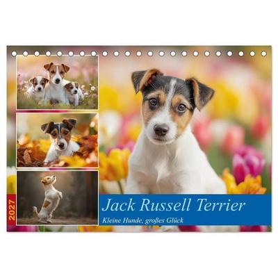 Jack Russell Terrier (Tischkalender 2027 DIN A5 quer), CALVENDO Monatskalender