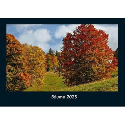 Bäume 2025 Fotokalender DIN A4