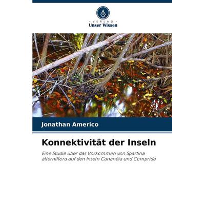 Konnektivität der Inseln, Taschenbuch von Jonathan Americo, Verlag Unser Wissen, 978-620-8-34136-7