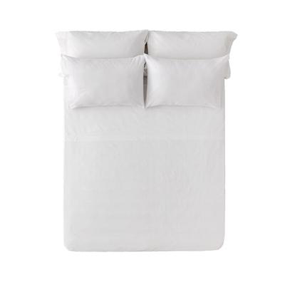 Sanelitex Pack 5 Bettlaken 100 % Baumwolle 90 cm