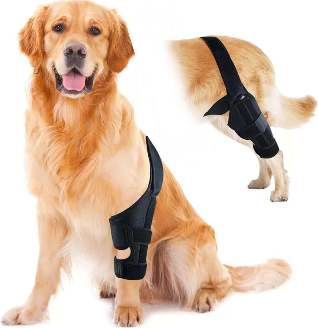INF Attelle de Soutien pour Fracture de la Patte Arrière de l'Animal - Modèle Standard pour la Récupération des Blessures L