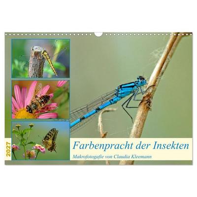 Farbenpracht der Insekten (Wandkalender 2027 DIN A3 quer), CALVENDO Monatskalender