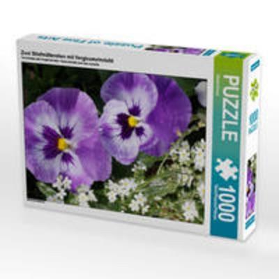 CALVENDO Puzzle Zwei Stiefmütterchen mit Vergissmeinnicht | 1000 Teile Lege-Größe 64x48cm Foto-Puzzle für glückliche Stunden