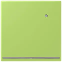 Jung LED-Orientierungslicht LC 1539-O LNW 221