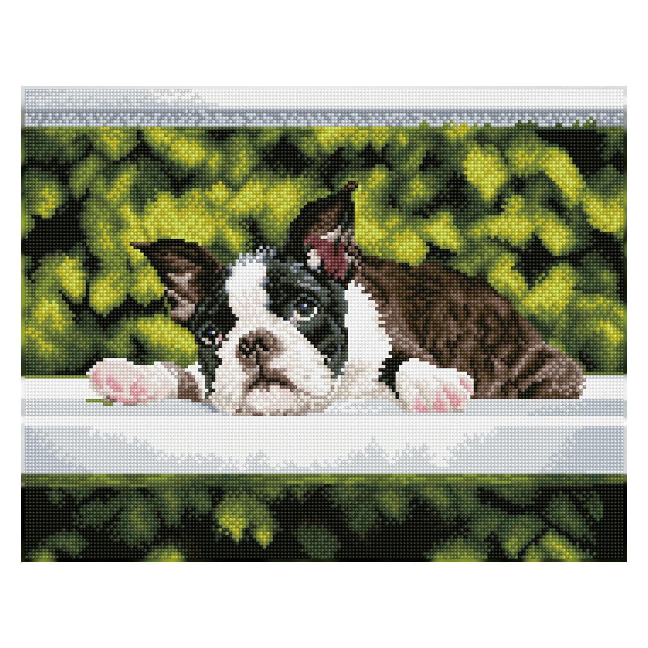 Diamond Dotz Squares Original Diamond Painting Set "Boston Blues" 47 x 37 cm, 24.288 quadratische (018-DQ10018)