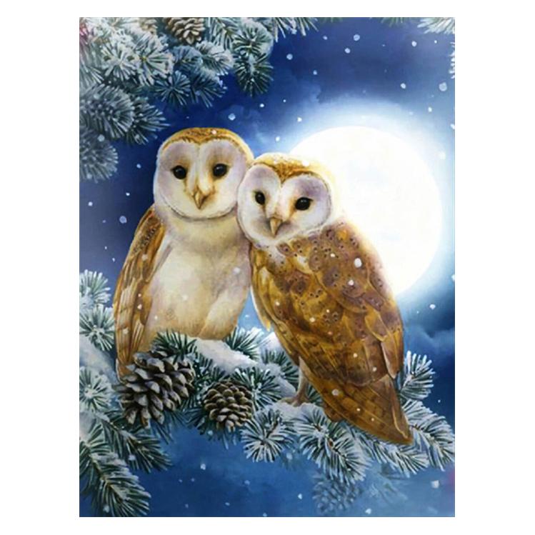 Pracht Diamond Painting 6037-50221 Eulen 33 x 44 cm (6037-50221)