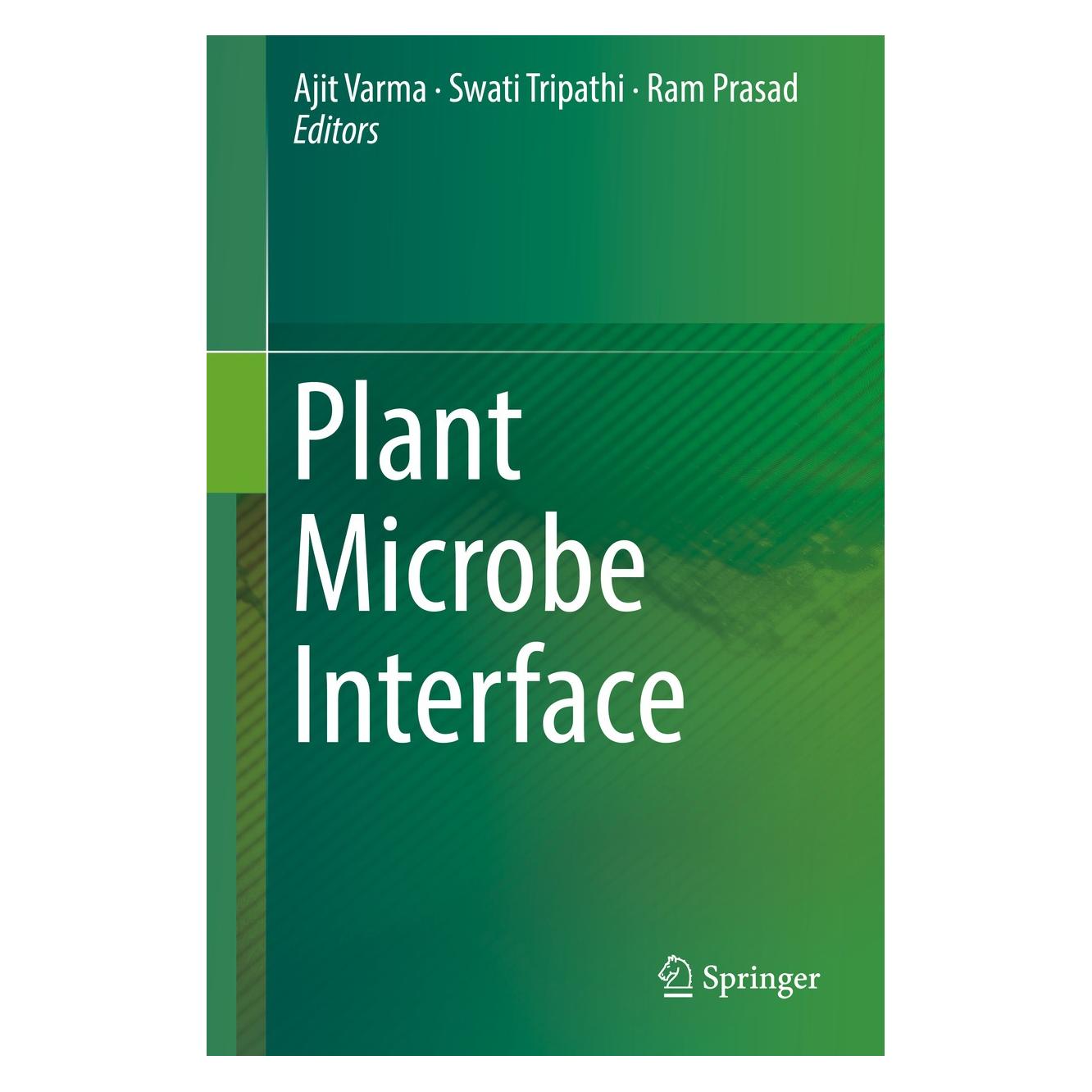 Springer Plant Microbe Interface (Englisch, Hardcover, Ajit Varma, Ram Prasad, Swati Tripathi) (9783030198305)