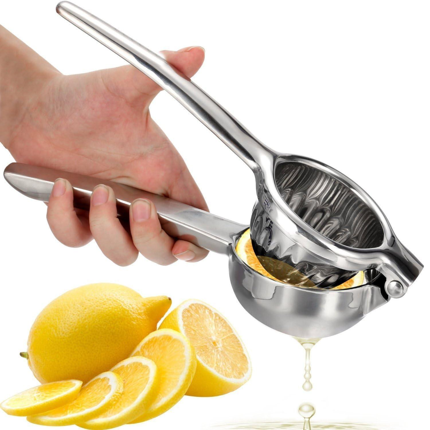 Dripio Citruspers van roestvrij staal, zilverkleurig