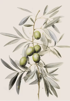 Inspire Picks Retro Olive Tree & Lemon Canvas Wall Art Elegant Mediterranean Botanical Decor 11 50x80cm