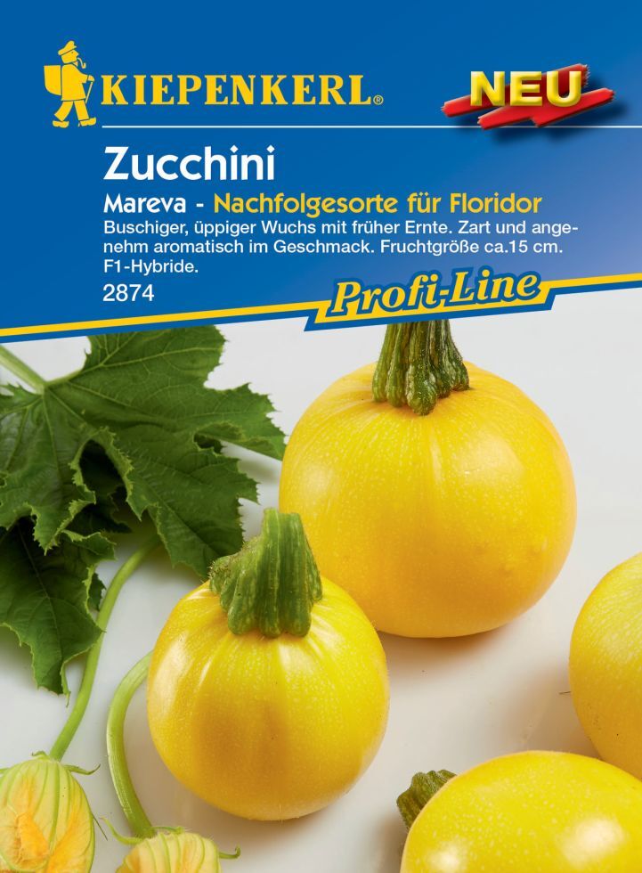 Pflanzen Kiepenkerl Zucchini Mareva F1