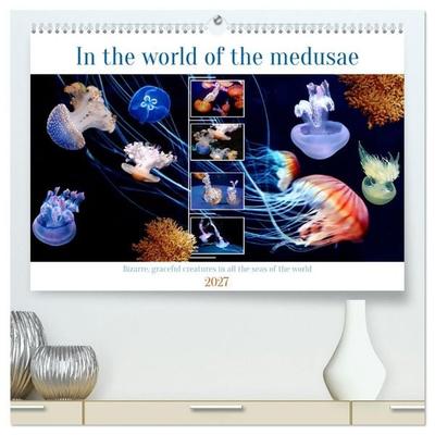 In the world of the medusae (High Quality Premium Wall Calendar 2027 DIN A2 landscape),CALVENDO 12 Month Wall Calendar