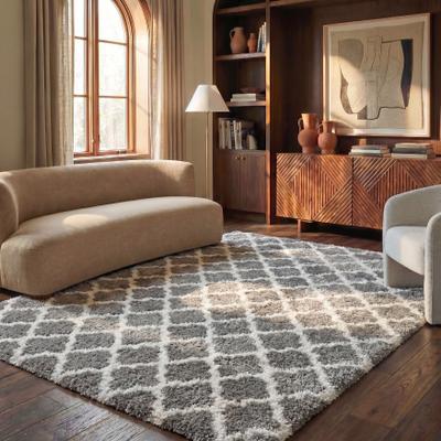 SAFAVIEH Indie Shag Humeyra 2-inch Thick Rug