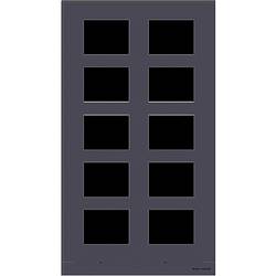 Busch-Jaeger 2TMA220160B1011 Frontplatte 2-Draht Frontblende