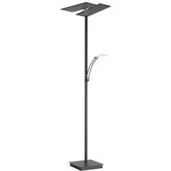 Paul Neuhaus LED-Stehleuchte ARTUR - B/H/T ca. 43.00x199.00x65.00