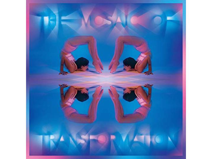 The Mosaic of Transformation (Clear)