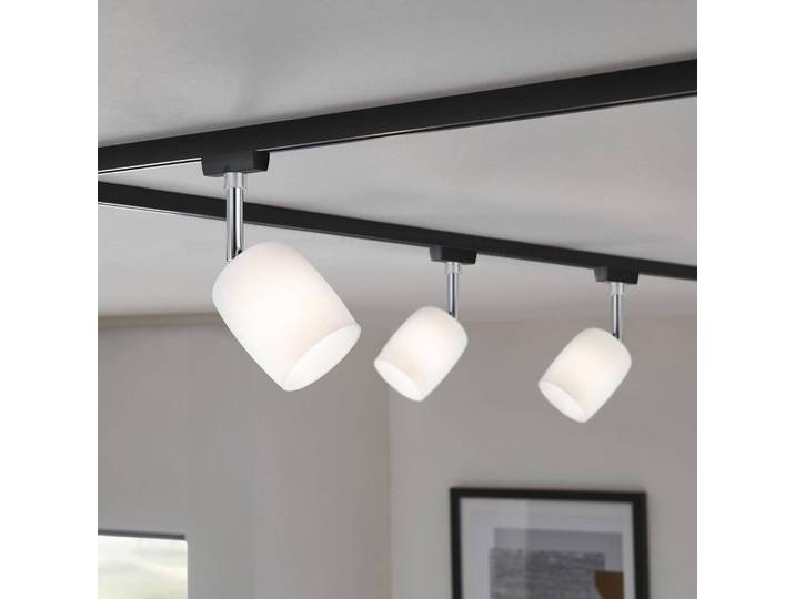 Paulmann URail Spot Blossom schwarz, Glas satin Blossom, dimmbar, schwarz, Glas, Modern