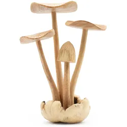 Handmade Parasite Wood Art Carving - Set of 4 Large Mushrooms