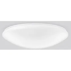 RZB 311947.002.3 Wand-Deckenleuchte LED 20,4W-4000K D460 H120 PMMA 2050lm