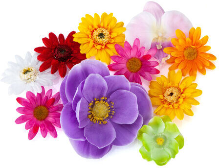 Blütenköpfe-Mix, 5–13 cm Ø, 10 Stück