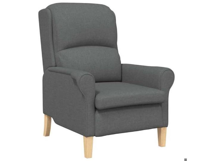 Remise Fauteuil de relaxation - Gris - Fauteuil Intérieur - Salon - Gris foncé - tissu - 110 kg/siège_xly10g