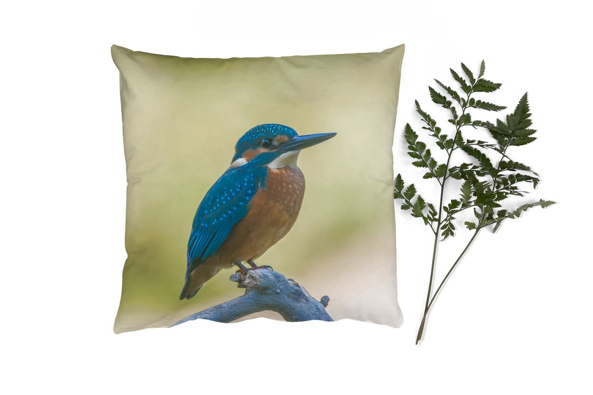 PillowMonkey Sierkussen IJsvogel op Tak - 40 x 40 cm