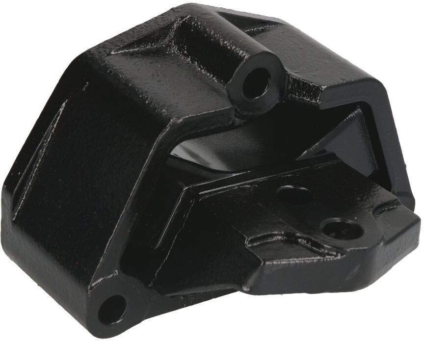 S-Tr Supporto motore 1208172